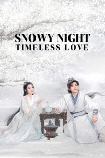دانلود سریال Snowy Night Timeless Love417168-294596095