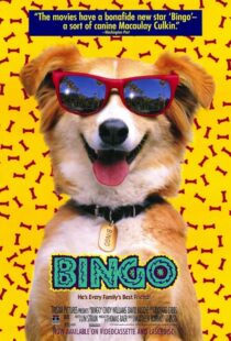 دانلود فیلم Bingo 1991417459-124970857