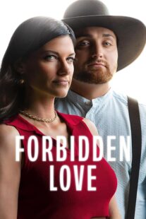 دانلود سریال Forbidden Love416709-354406105