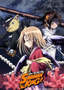 دانلود انیمه Shaman King422246-1258913225