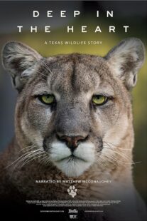 دانلود مستند Deep in the Heart: A Texas Wildlife Story 2022421545-247306158
