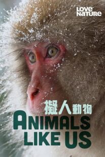 دانلود مستند Animals Like Us423066-974610429