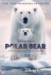 دانلود مستند Polar Bear 2022422974-1666060614