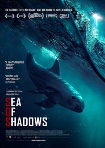دانلود فیلم Sea of Shadows 2019427147-739036387
