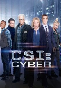 دانلود سریال CSI: Cyber428329-1457336588