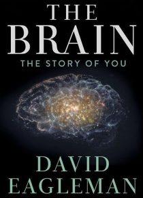 دانلود سریال The Brain with Dr. David Eagleman428613-953638921