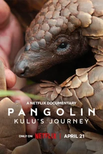 دانلود مستند Pangolin: Kulu’s Journey 2025430703-206573473