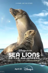 دانلود مستند Sea Lions of the Galapagos 2025431056-797389483