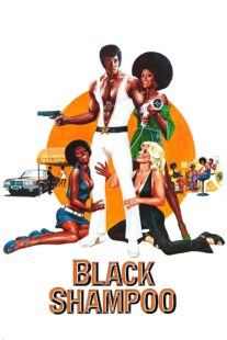 دانلود فیلم Black Shampoo 1976435042-669180569